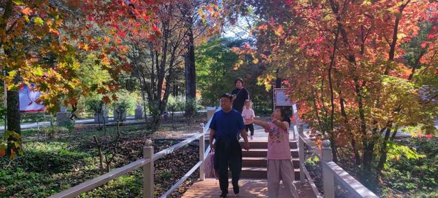 2025年国庆中秋双节，敦化市文旅市场迎来“井喷式”爆发!