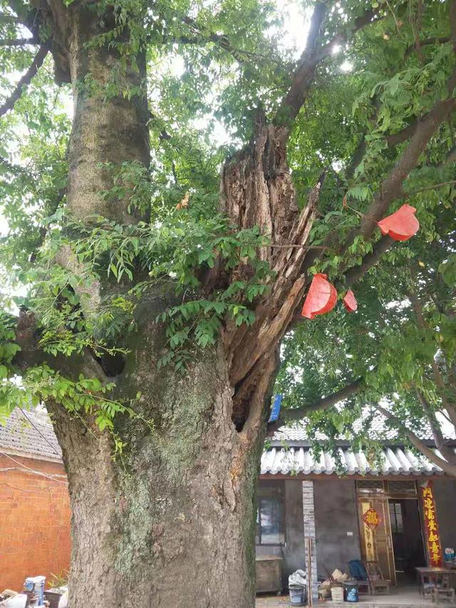 走遍宜城之——寻访马蹄畈战斗遗址