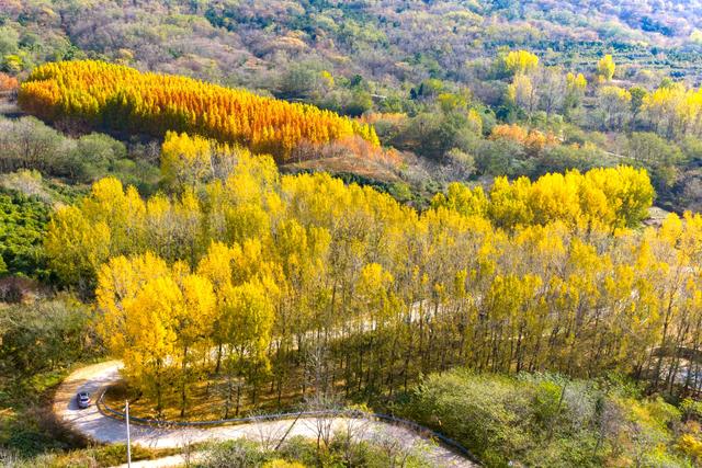 立冬悠游青岛西海岸新区灵山卫街道，乡野美得不像话，像画！