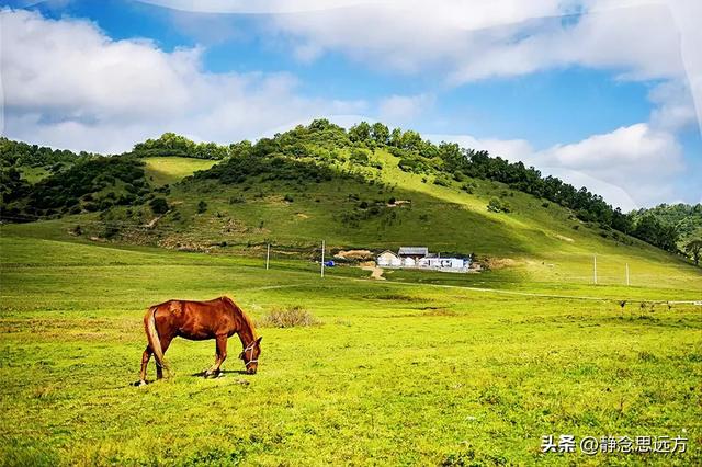 我是河南人，去了趟宝鸡才发现：宝鸡这个地方跟其他地方不同之处