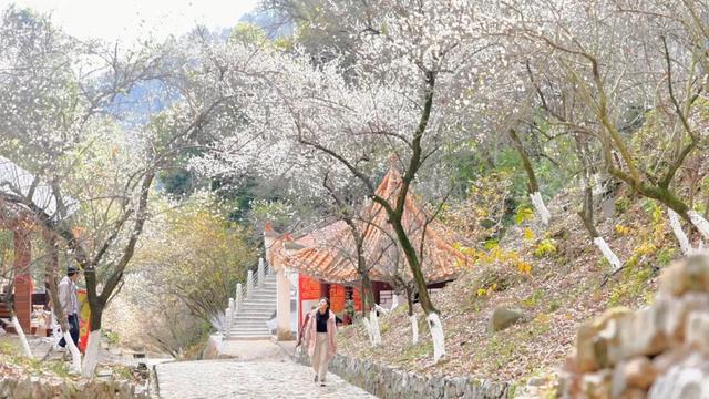 美如仙境！韶关这个地方迎来今年首场冰挂雾凇景观，秋冬来旅行，赏雪泡泉看红枫为你安排好了