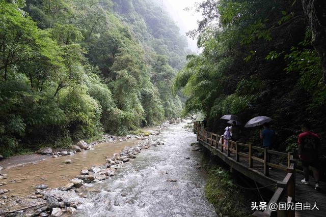 “渝黔生物基因库”黑山谷游记