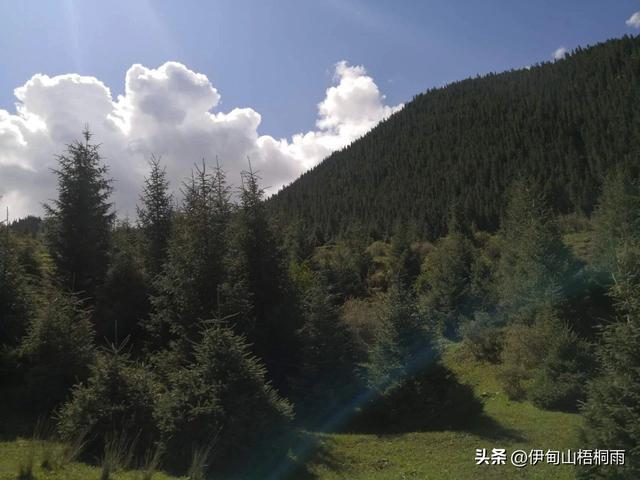 新疆之旅（六）：美丽的巴音那木