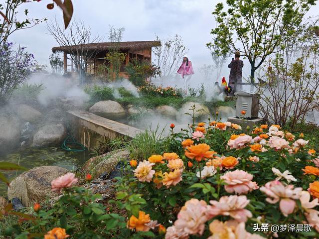 云梦仙境花开十月花雾醉游人