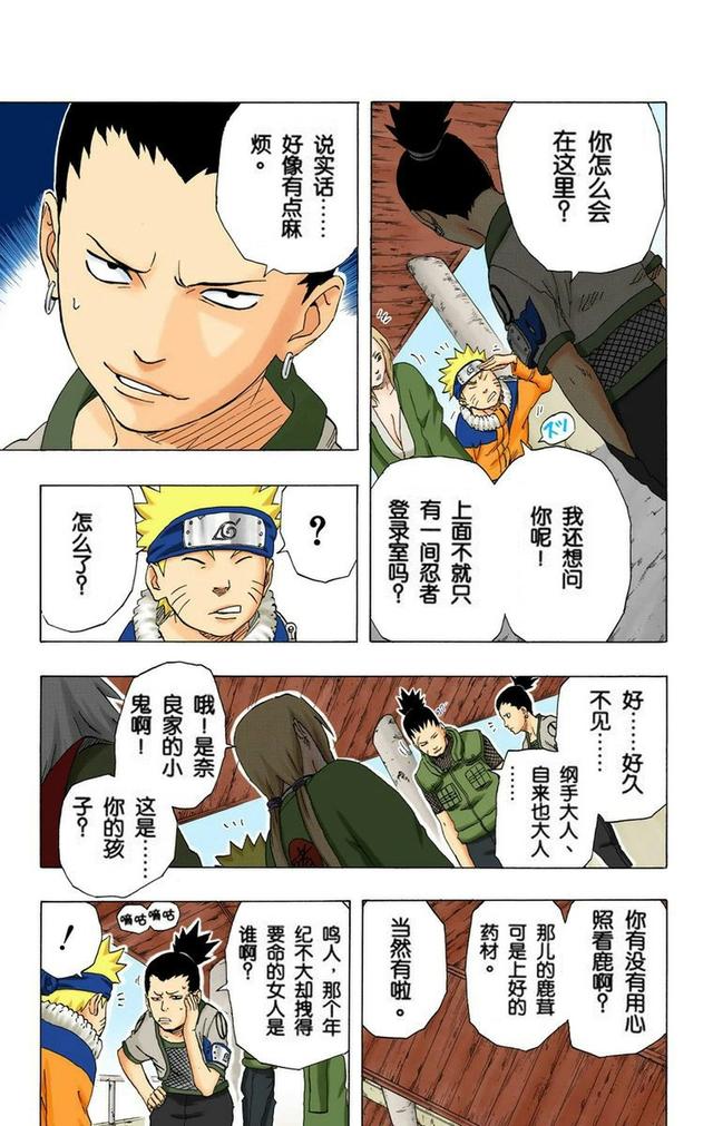 火影忍者彩漫 第二十卷 第五代火影纲手，鸣人佐助天台对决
