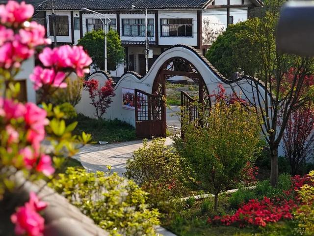 乡游黔中 · 百里杜鹃管理区 兴隆村丨秋色染杜鹃岭,山野果香醉清风