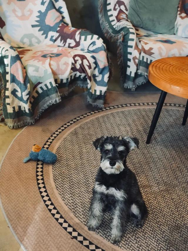 2025 年最后 31 天，在乌鲁木齐怎么过？