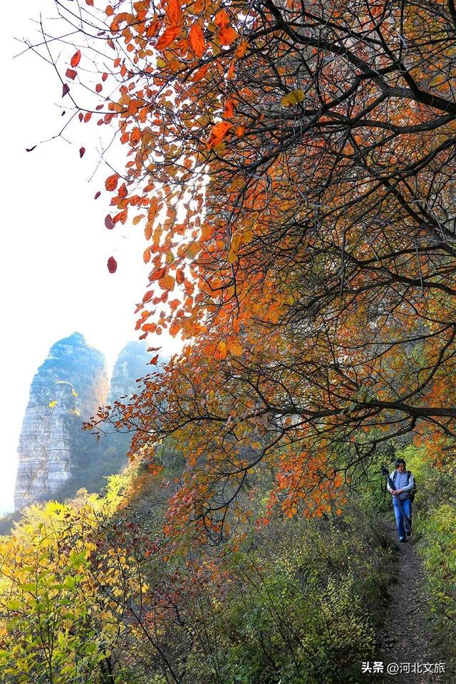 来一场"诗词"漫游记,邂逅诗词中的河北