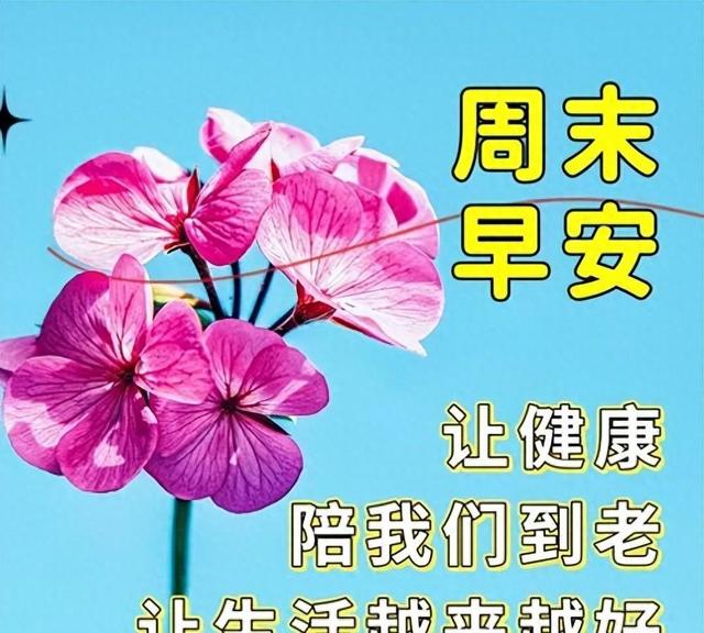 今天早安最新祝福语短句，祝福问候精华，祝福来报到，向你道声早