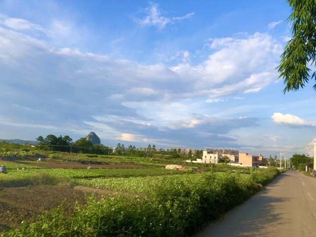 97年迪斯科舞厅，一个穿红裙的女人，在我耳边吹了口气