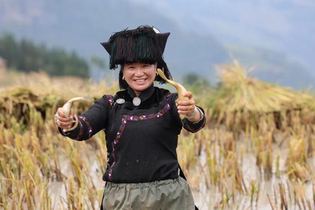 探秘“三遗产” | 哈尼梯田：不止绝美景观，生态服务守千年