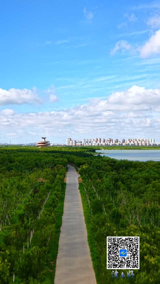 津南美景欣赏∣当微风吹过绿屏·八里湾，这里没有语言，只有森林的呼吸……