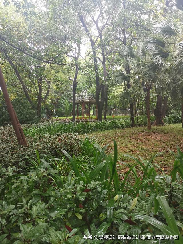 海南省海口市人民公园
