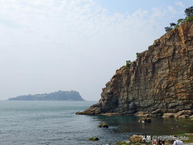 大连海之韵公园·棒槌岛