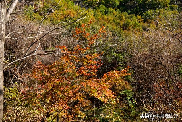 辽阳核伙沟（上）：百里锦绣廊、东北小黄山