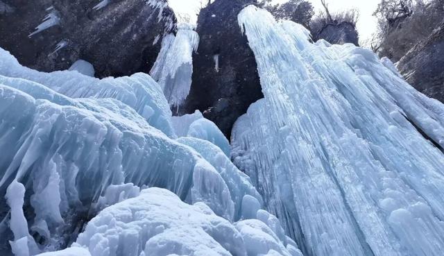 别等春天！陇南的冬日密语里，藏着限定版春日烂漫