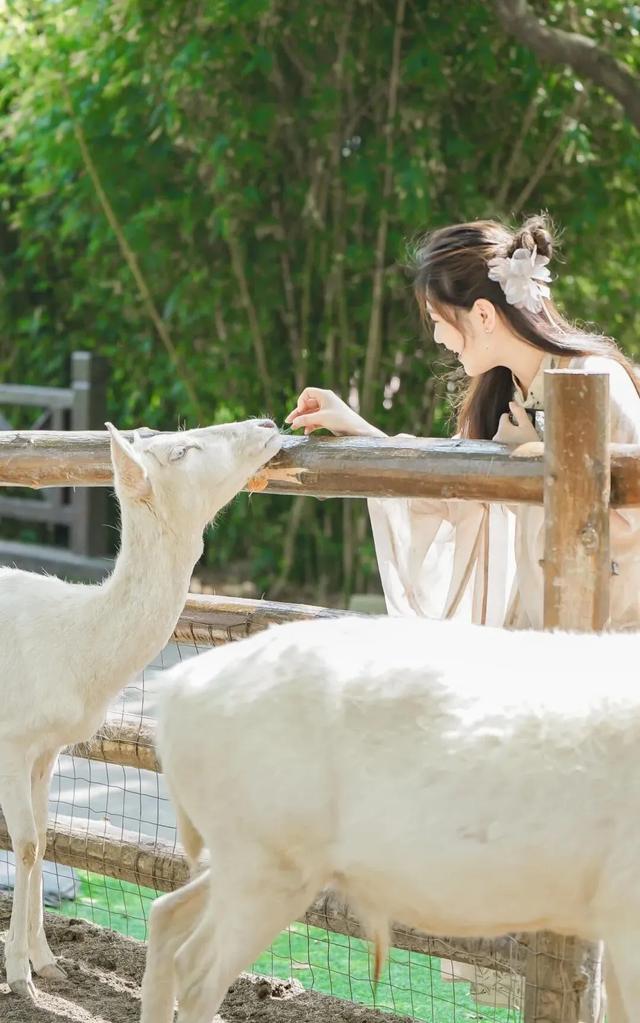 这样的张家港,我“All in”了!