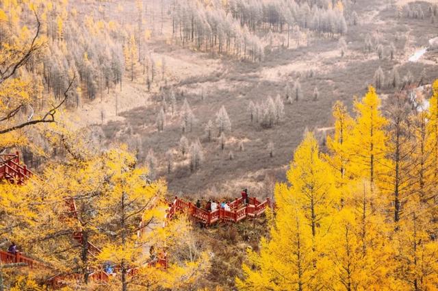 游客数量翻倍!未到黄金周阿尔山已经先火了