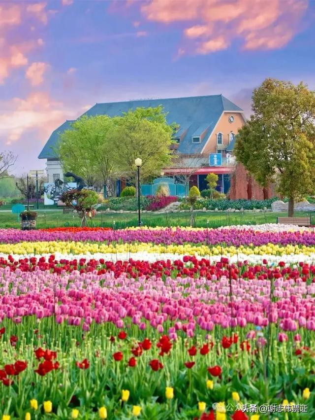 10月第5期（5天）点评