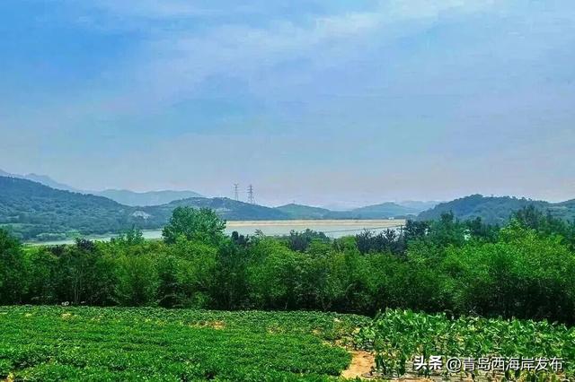 七夕+周末，西海岸这份“双倍甜蜜”等你查收~