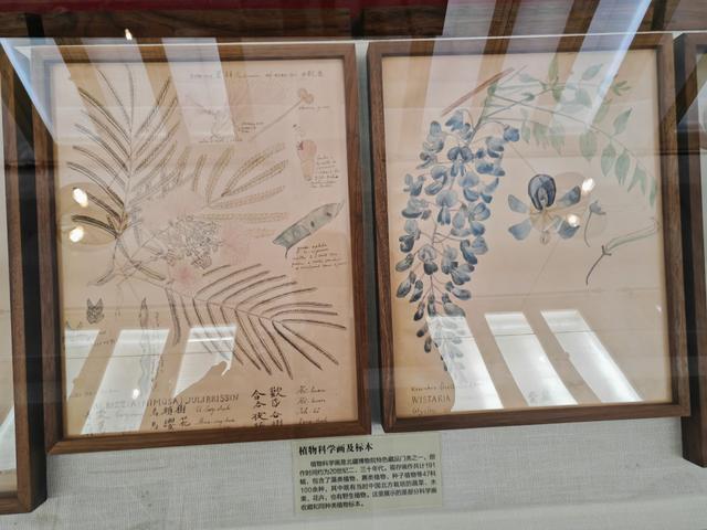 周末遛娃好去处