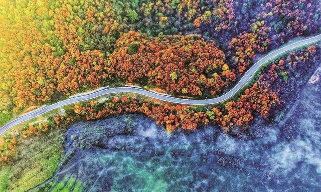 为有秋色赋人间