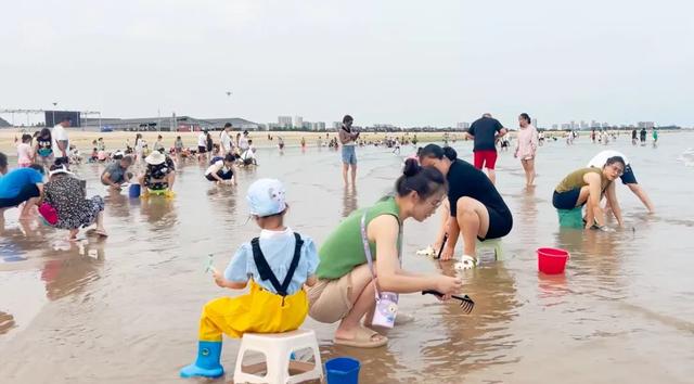 央视四平台连播！ 红滩盛夏铺锦绣 生态南海引客来