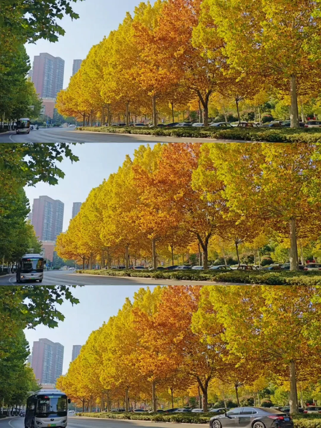 此刻的临沂，把清欢藏进风景里