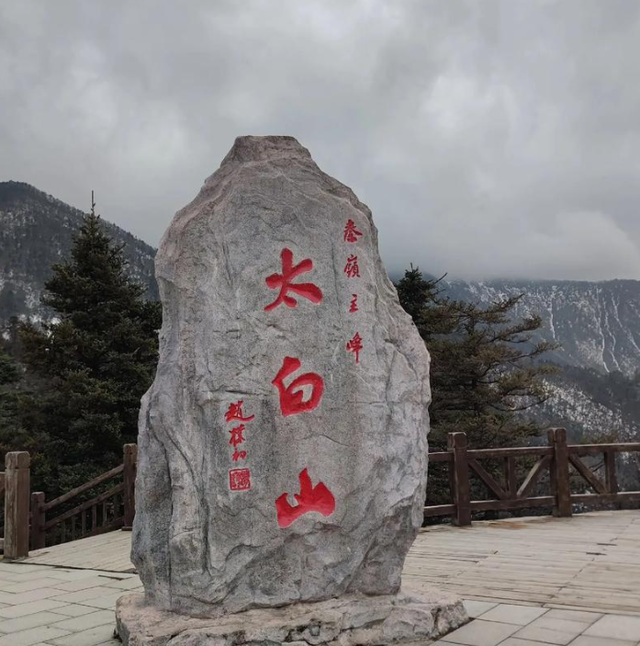 罕见！3只野生黑熊“全家出游”，太白山景区：切勿投喂或挑逗