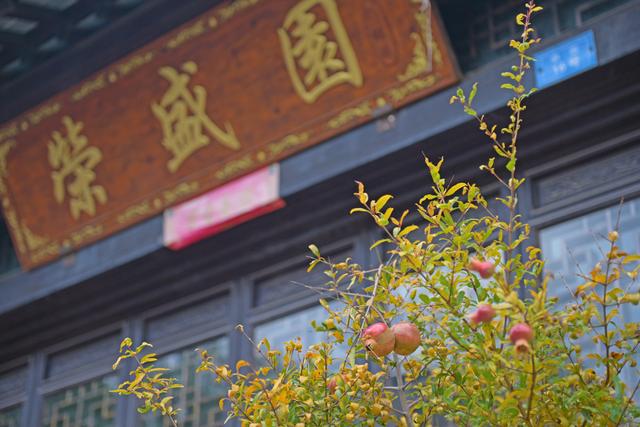 抓紧！再不赏秋就晚了