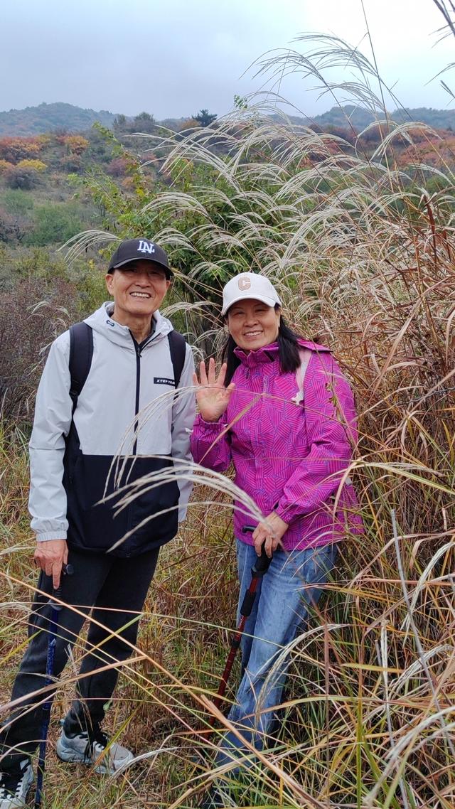 雾锁风挡山，红叶引客来