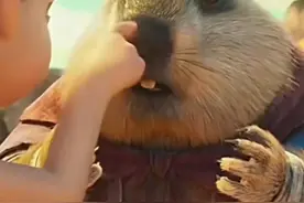 想和土拨鼠贴贴？不可以！《哪吒2》带火土拨鼠，网友纷纷晒合影，专家：虽萌但别碰图片