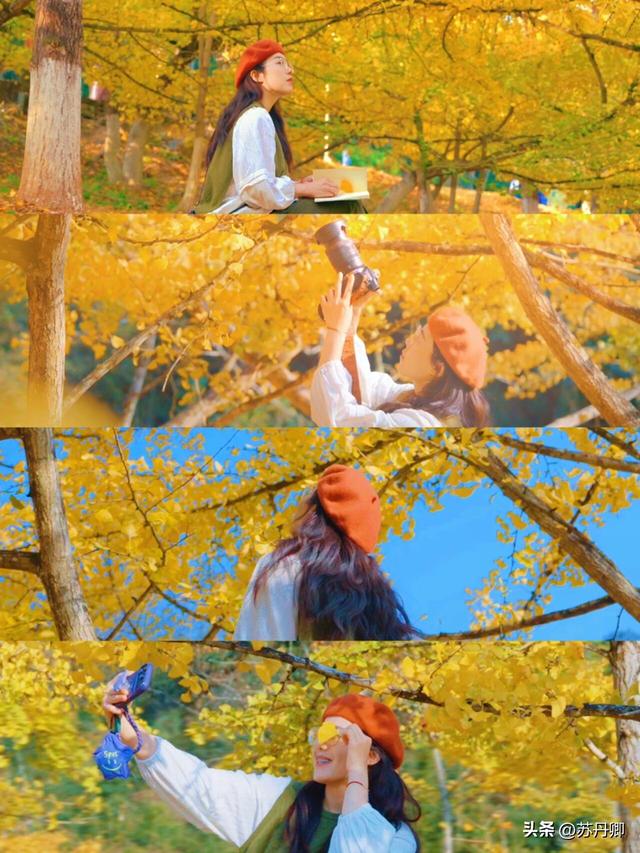 武汉出发！高铁3.5h直达！用3天时间解锁一座小众宝藏城市