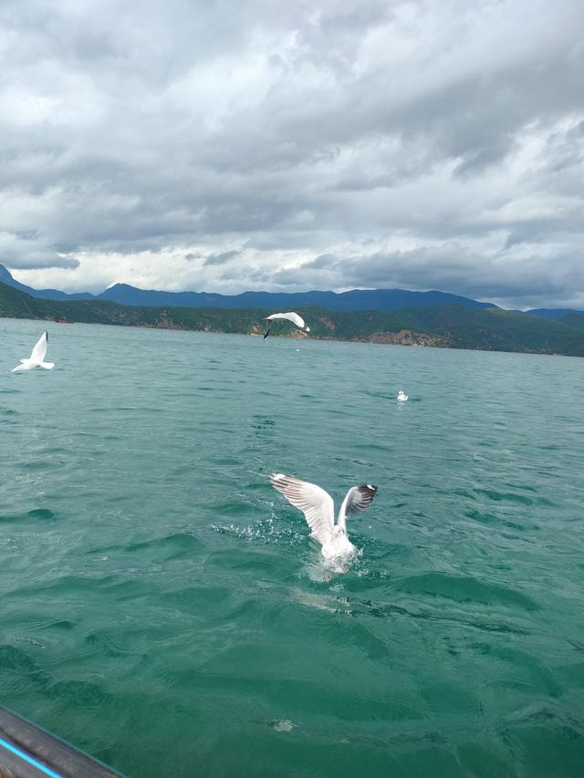 梦幻云南（五）：泸沽湖畔女儿国