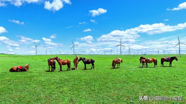 不去内蒙古大草原,你永远不知道它有多绝!