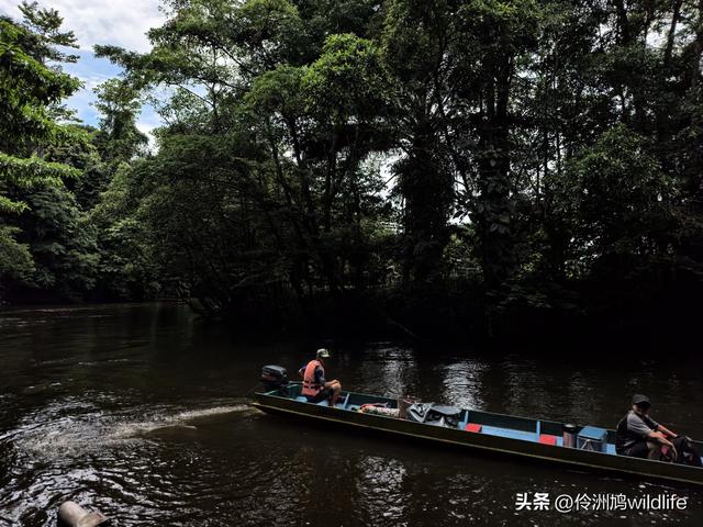 马来西亚(29)砂拉越州③姆鲁山清水洞·风洞