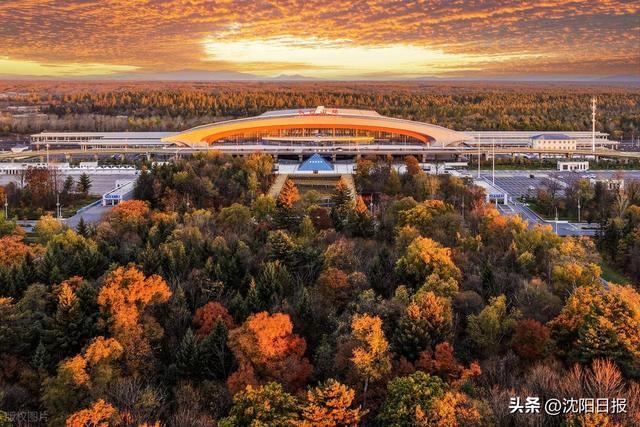 沈白高铁开启冬游模式：最低4折畅行，一路享“雪”赏景美食两不误