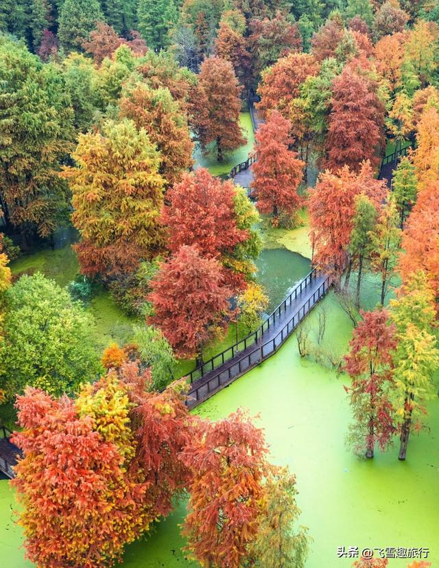 从杭州出发，一小时左右车程，五个风格各异的绝佳赏秋地
