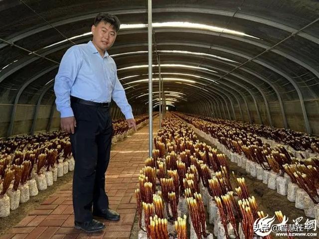 聊城，是一座怎样的城？