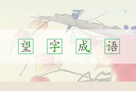 望开头的四字成语大全，用“望”开头能组多少个成语？图片