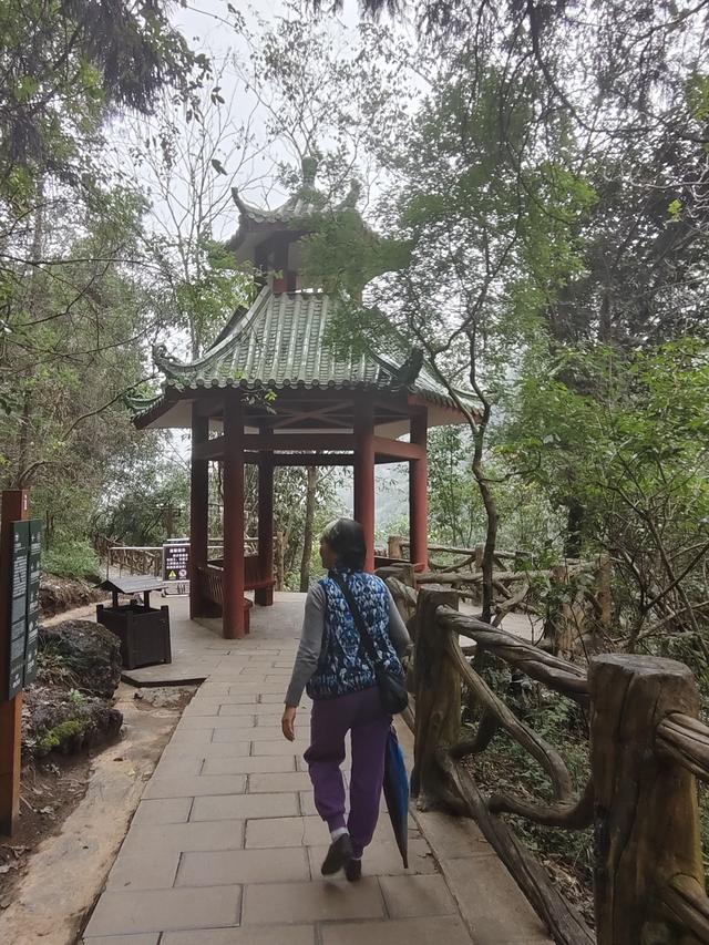 南行漫记：我见过地球上最美丽的一道疤痕，她叫马岭河峡谷