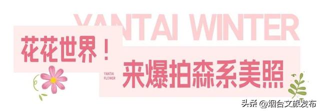 【乐游烟台】周末好去处丨全是花花！烟台神仙小店被花包围了