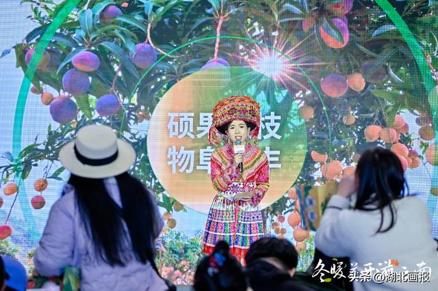 【知音湖北】“冬暖花开游云南”2025冬季文旅推广活动走进武汉 共绘跨区域合作新图景