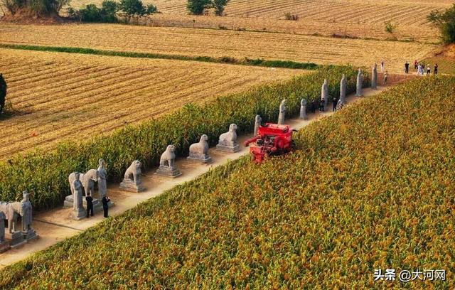 来这里，解锁千年的“限定秋色”！