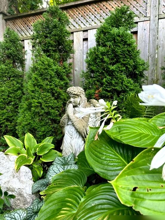 “阴花不能进阳宅”！家里若有这5种花，请赶紧“搬出去”！