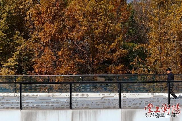 陆家新区中心公园“上线”限定暖色系