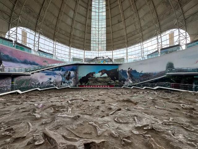 重阳节送长辈特别礼物：恐龙之旅对60岁以上长辈免费开放，共赴奇妙之旅！