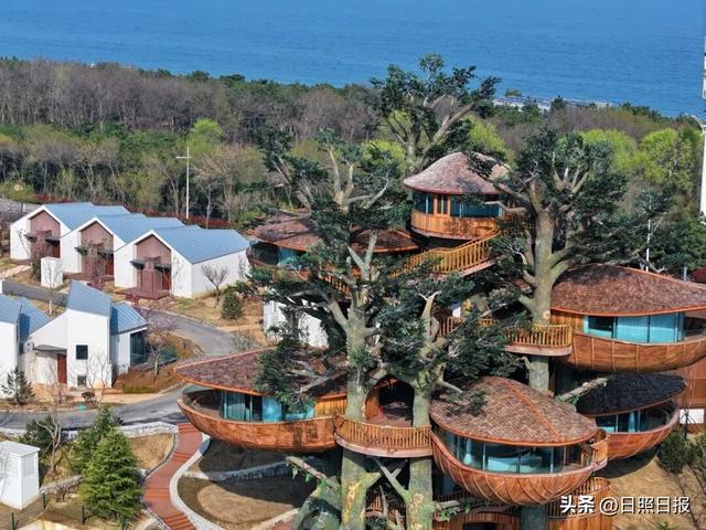 全球榜！中国榜！日照入选