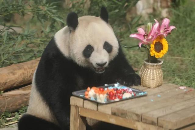 山东有自己的“疯狂动物城”！