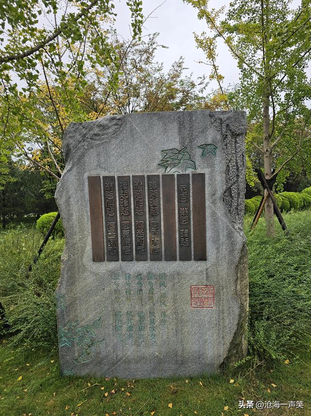 苑城公园，秋色迷人，落英缤纷，古色古香，一副秋色秋景染枝头！